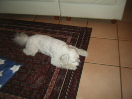 齋藤瑠久 | LUKE SAITO